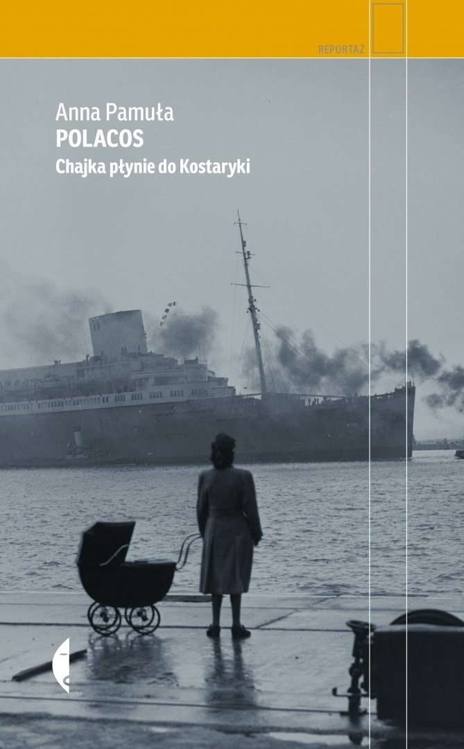 Read more about the article Spotkanie z Anną Pamułą