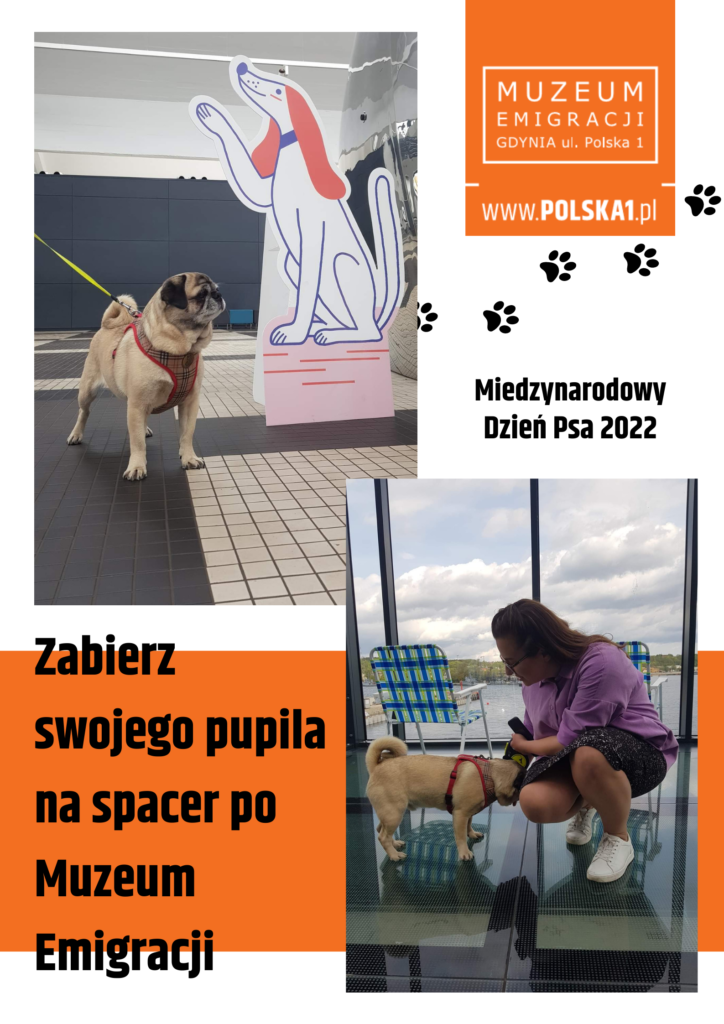 Grafika zawierająca dwa zdjęcia na białym tle i czarny napis „Zabierz swojego pupila na spacer po Muzeum Emigracji” na pomarańczowym tle. Na pierwszym zdjęciu po lewej stronie pies „Tadzik”, który jest rasy Mops. Stoi na holu muzeum w przy rysunkowej postaci psa z kartonu. Drugie zdjęcie po prawej przedstawia Tadzika ze swoją opiekunką. Stoją na przeszklonym elemencie tarasu muzeum. W prawym górnym rogu grafiki logo muzeum na pomarańczowym tle, które dekorują czarne odciski psich łap. Pod spodem napis „Międzynarodowy Dzień Psa 2022”.