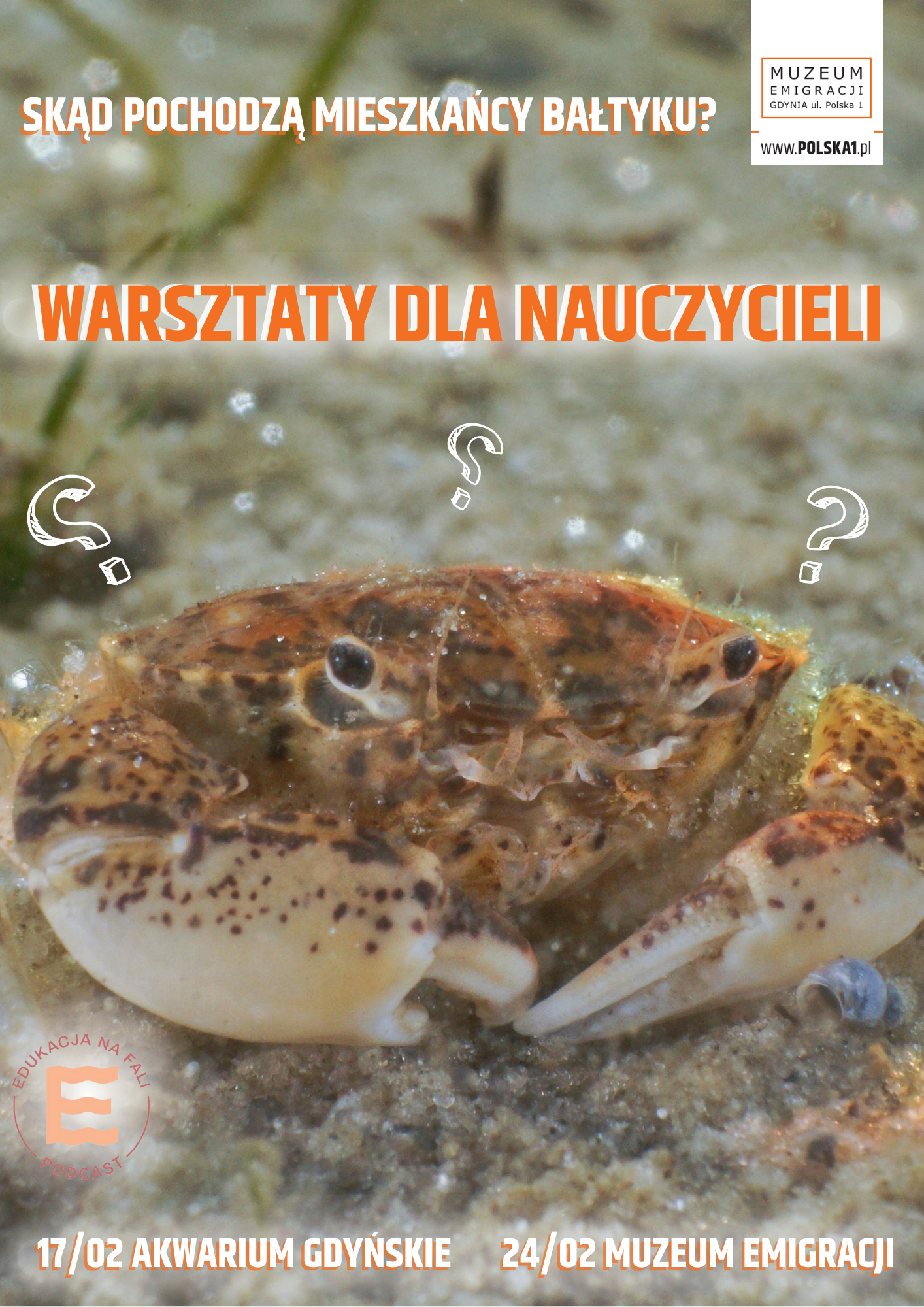 Read more about the article Skąd pochodzą mieszkańcy Bałtyku? Warsztaty dla Nauczycieli