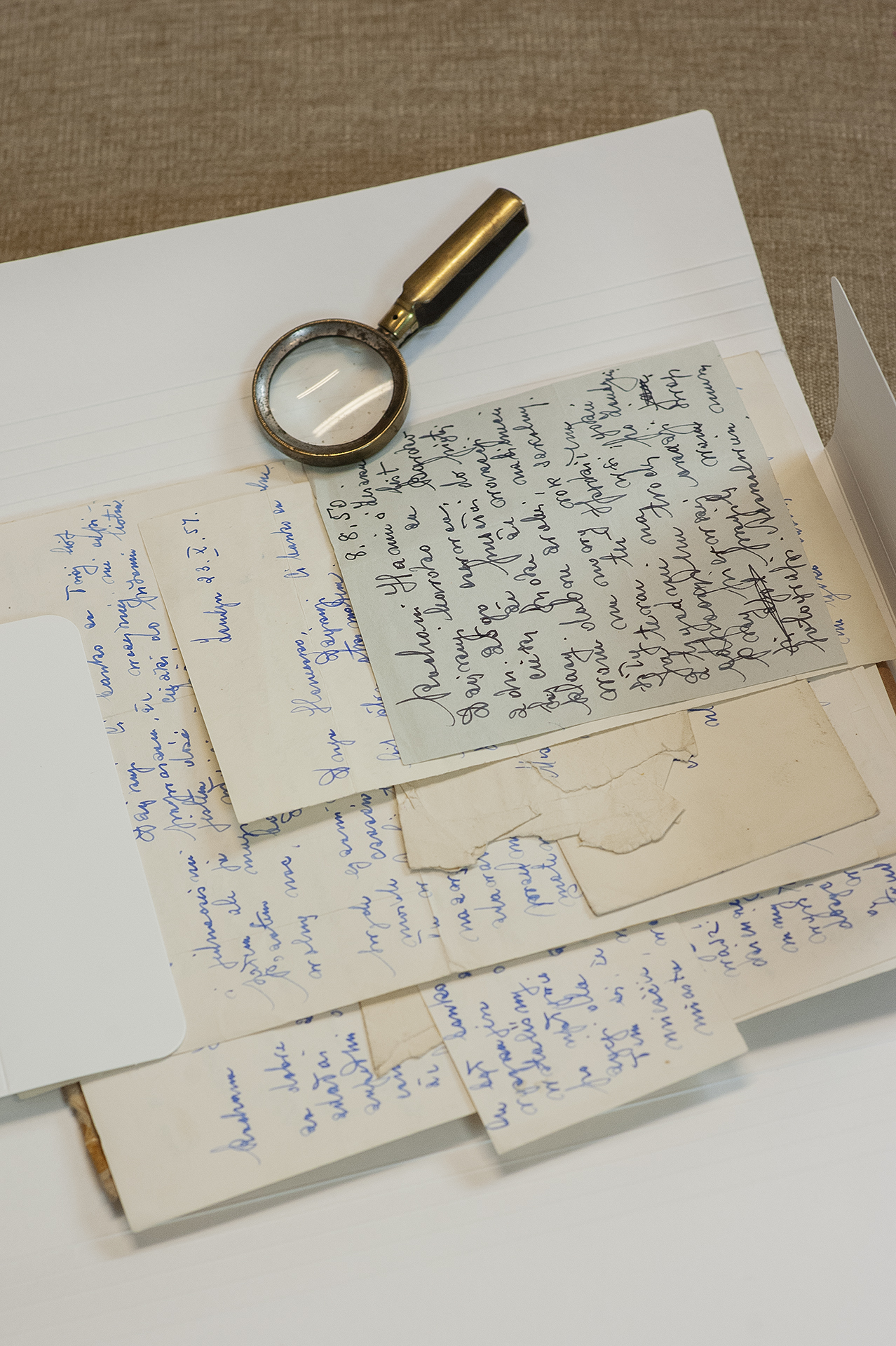 Read more about the article Polityka gromadzenia zbiorów w Muzeum Emigracji w Gdyni